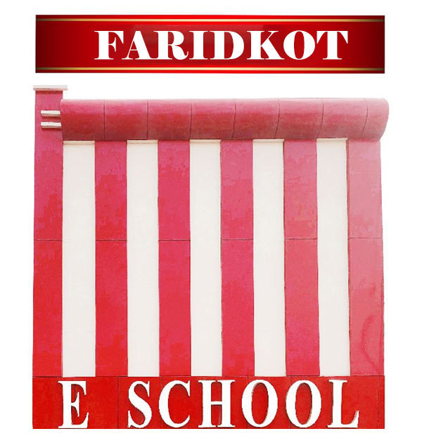 e school Faridkot