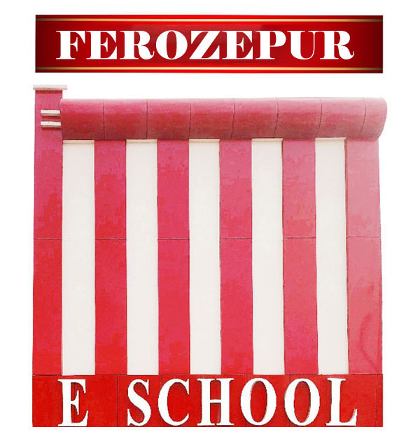e school Ferozepur